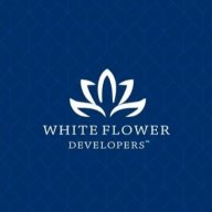 whiteflowerdeveloper